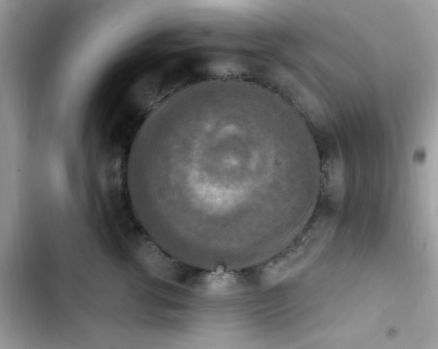 X0000103950762200809191440