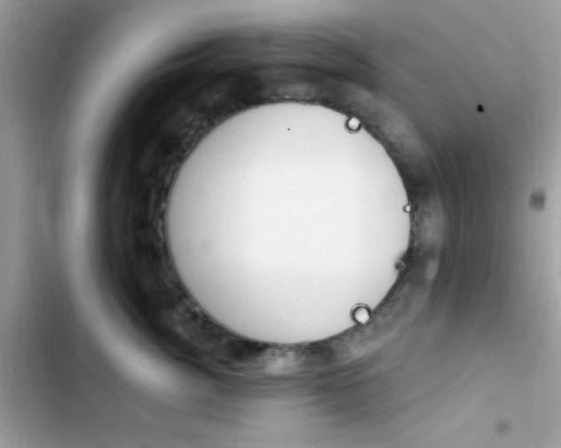 X0000103950764200809191441