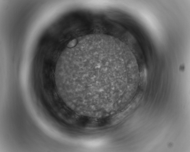 X0000103950765200809191441