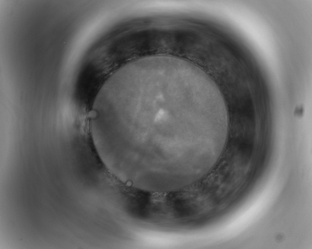 X0000103950766200809191441