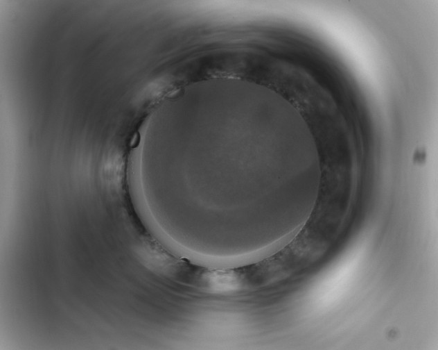 X0000103950767200809191441