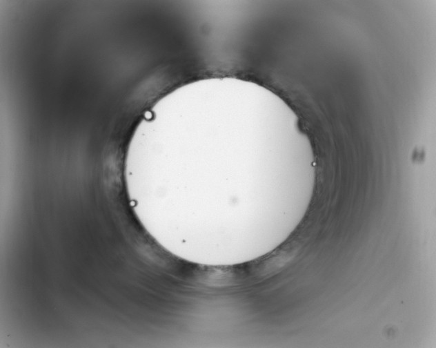 X0000103950768200809191441