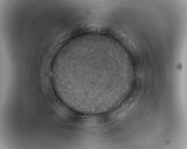 X0000103950769200809191440