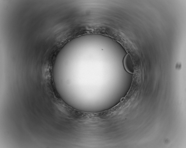 X0000103950770200809191440