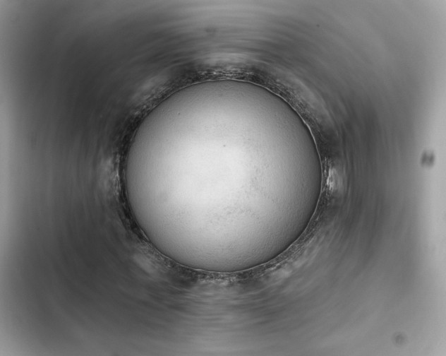 X0000103950771200809191440