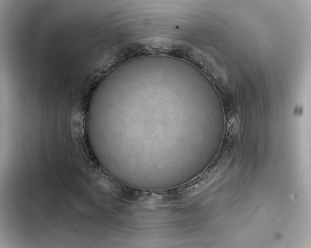 X0000103950772200809191440