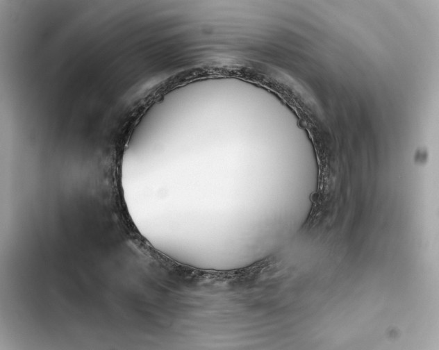 X0000103950773200809191440
