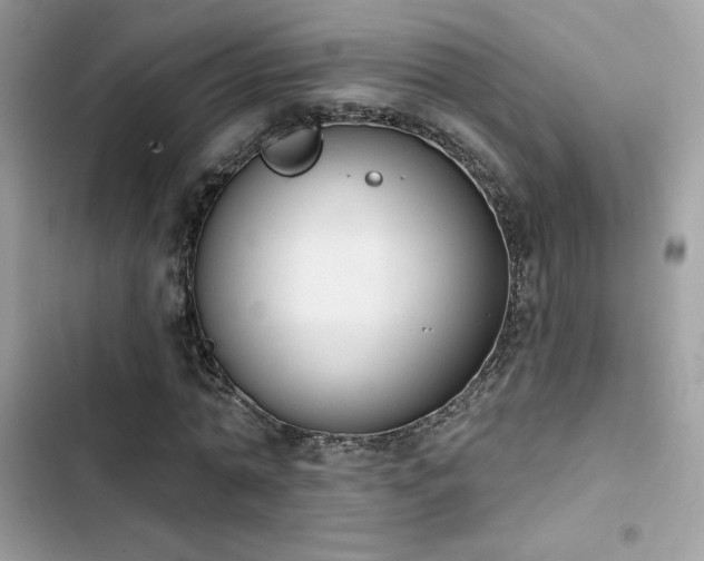 X0000103950774200809191440