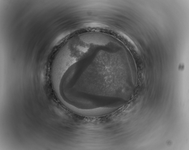 X0000103950775200809191440