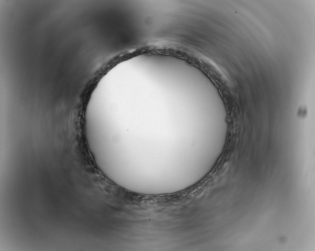 X0000103950776200809191440