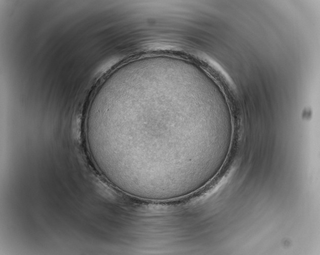X0000103950777200809191440