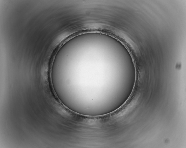 X0000103950778200809191440