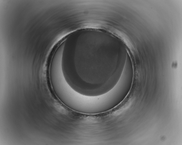 X0000103950779200809191440