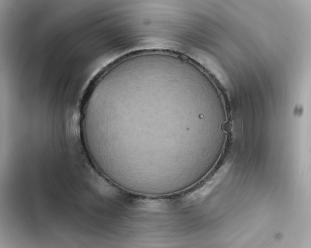 X0000103950781200809191440