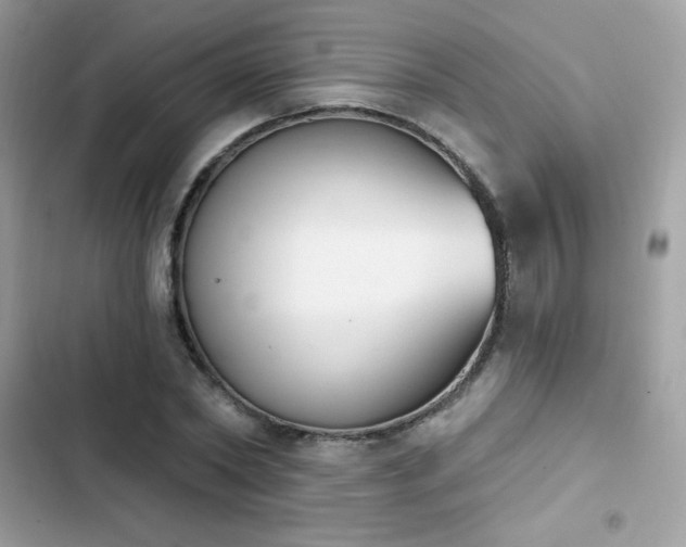 X0000103950782200809191440