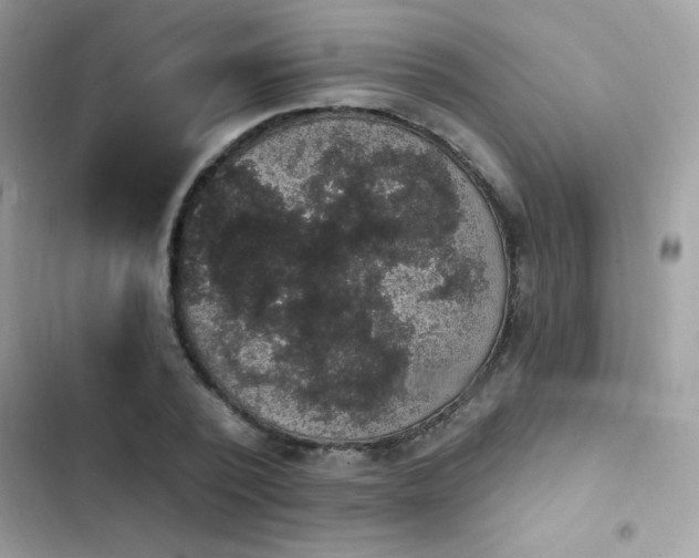 X0000103950784200809191440