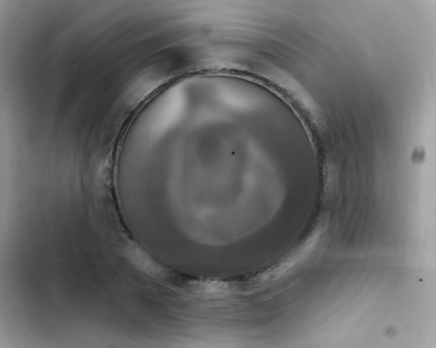 X0000103950785200809191440