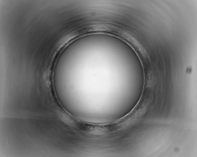 X0000103950786200809191440