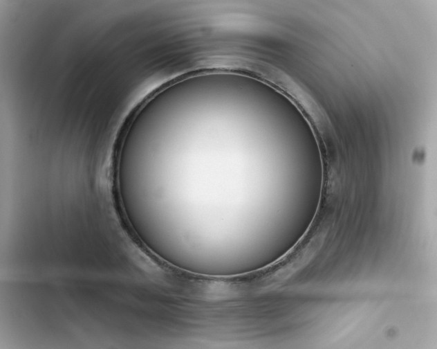 X0000103950787200809191440