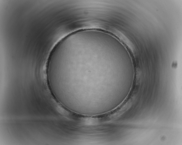 X0000103950789200809191440