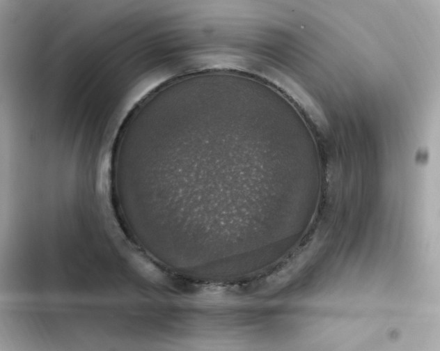 X0000103950790200809191440