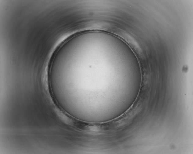 X0000103950792200809191439