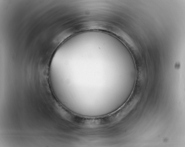X0000103950793200809191439