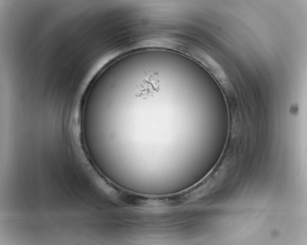 X0000103950796200809191439