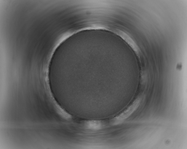 X0000103950797200809191439