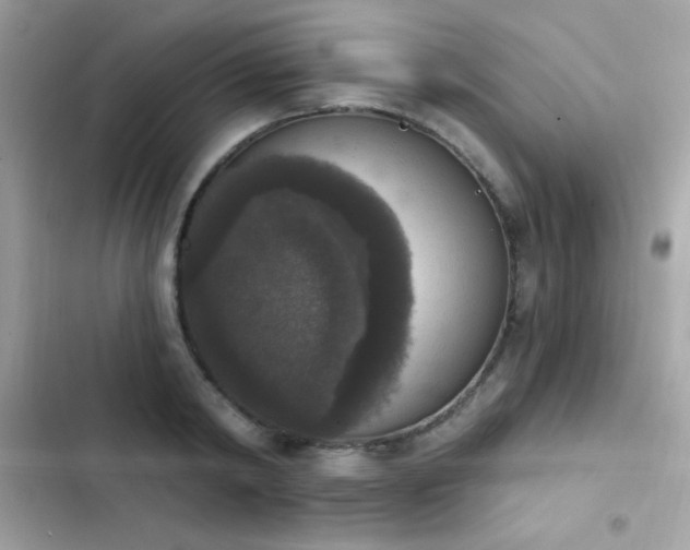 X0000103950798200809191439