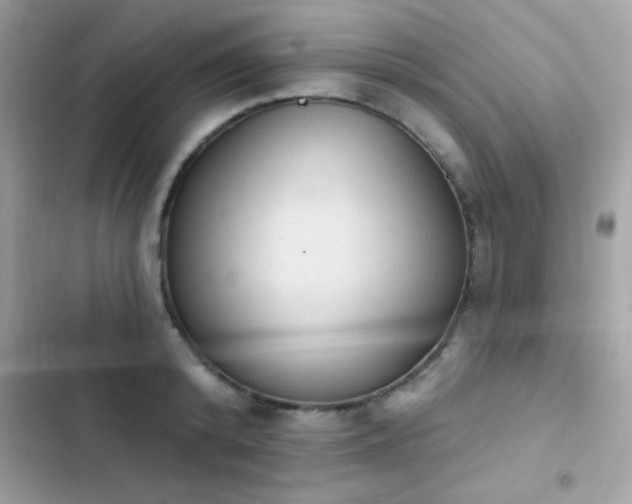 X0000103950800200809191439