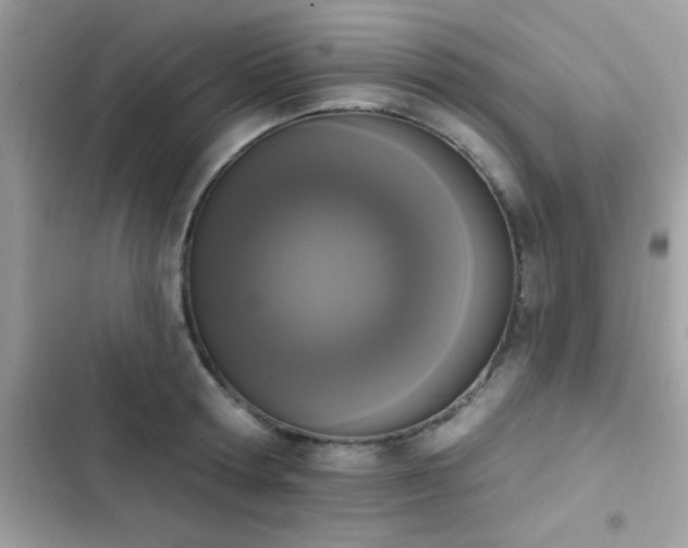 X0000103950802200809191439