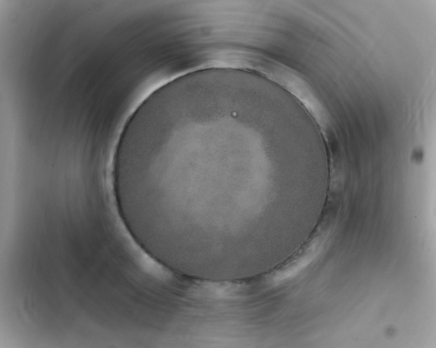 X0000103950803200809191439