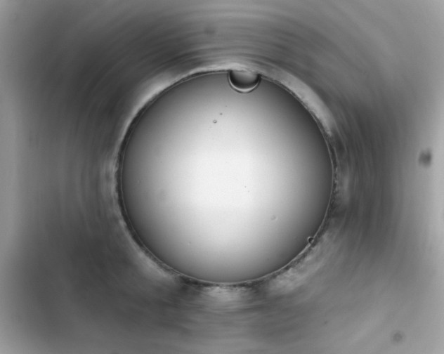 X0000103950805200809191439