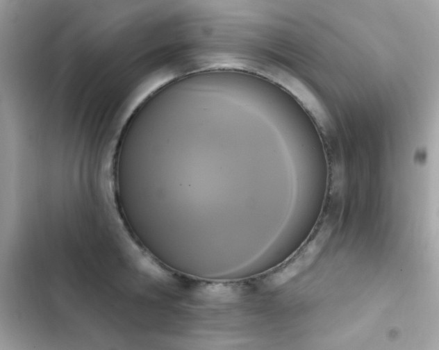X0000103950806200809191439
