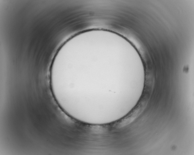 X0000103950807200809191439