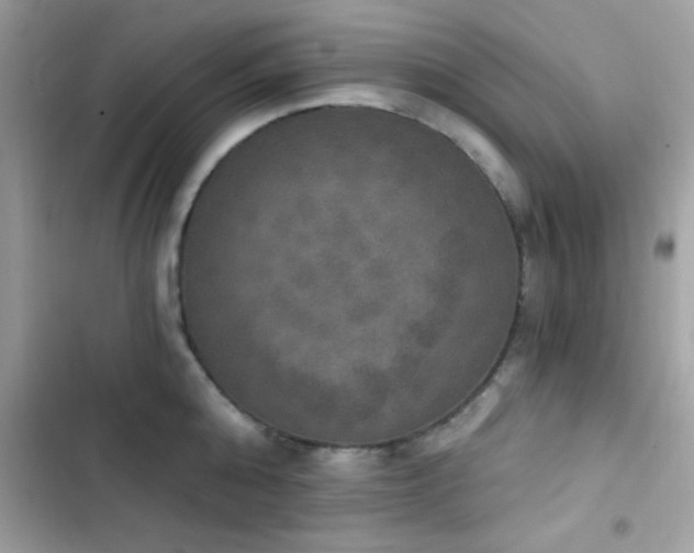 X0000103950808200809191439
