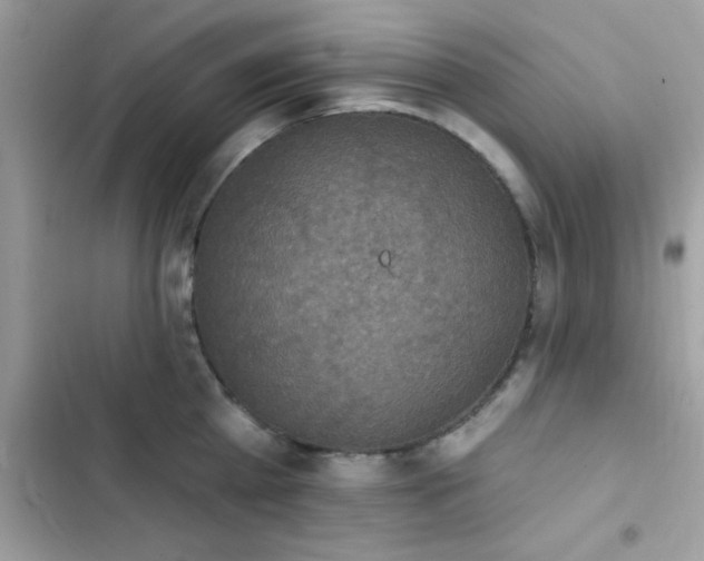 X0000103950809200809191439
