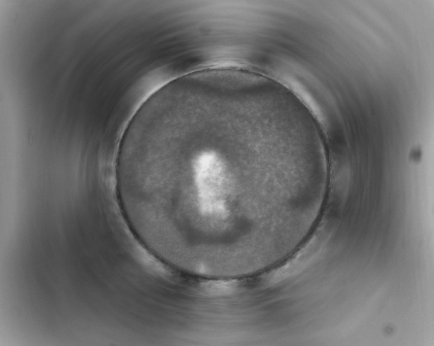 X0000103950810200809191439