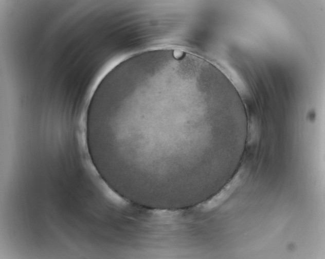X0000103950812200809191439