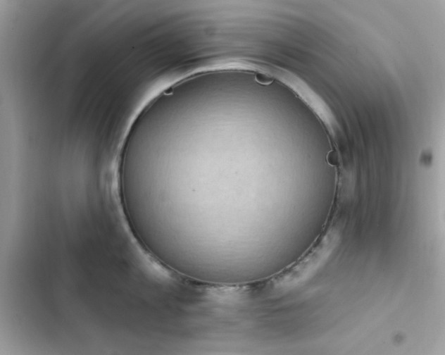 X0000103950813200809191439