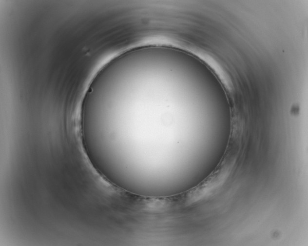X0000103950815200809191439
