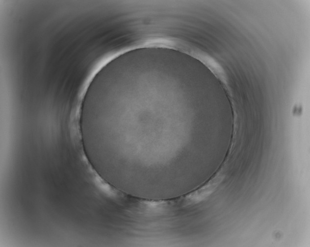 X0000103950816200809191439