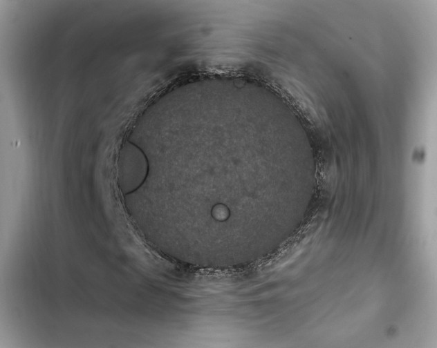 X0000103950817200809191438