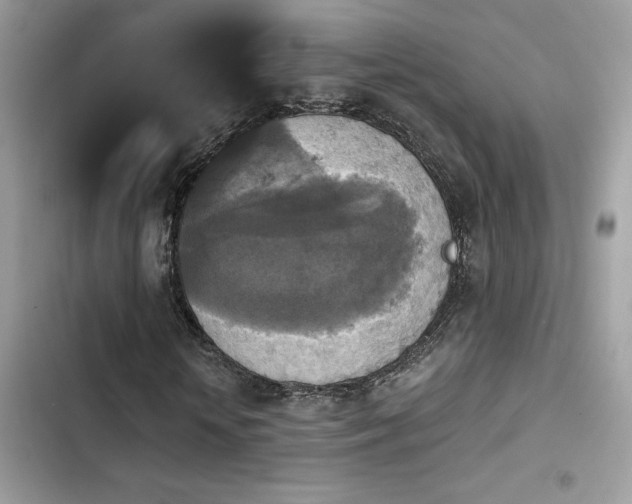 X0000103950818200809191438