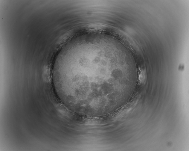 X0000103950819200809191438