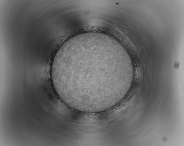 X0000103950820200809191438