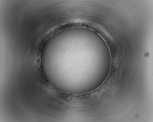 X0000103950821200809191438