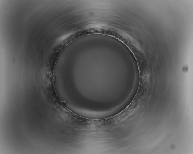 X0000103950822200809191438