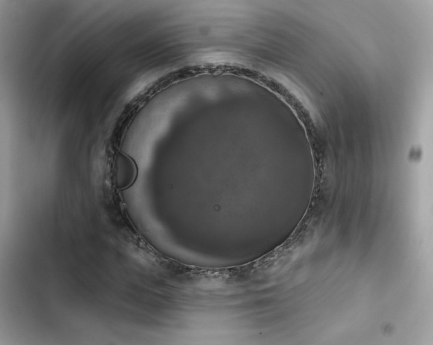 X0000103950823200809191438